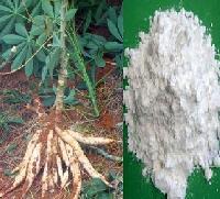 磷酸酯雙淀粉在江蘇無錫金陵塔公司的應(yīng)用與發(fā)展